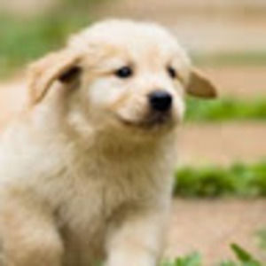 Meet your Posher, Lara